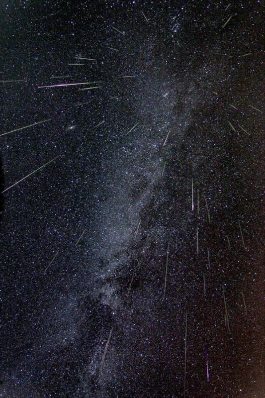 The Perseids in 2004